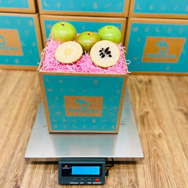 Star Apple | Caimito Box Produce Box Tropical Fruit Box
